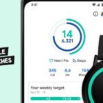 Smartwatches Compatible With Google Fit