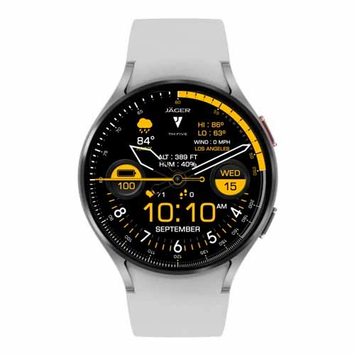 Jager Tm 5 watch face